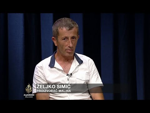 Kontrasti: Malinarstvo - crno zlato ili blato