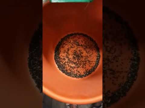 Automatic ss mud ball destoner, three phase