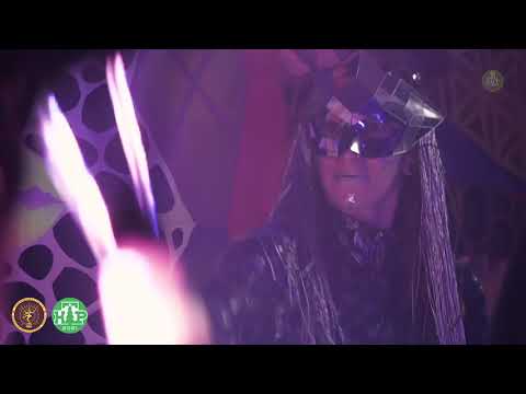 PSART New Year's Eve stream for LSD