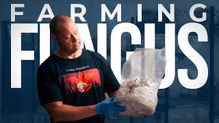 Cultivating Medicinal Mushrooms & Tinctures | PARAGRAPHIC