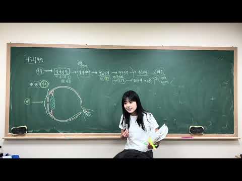 [중등과학3] 4-1. 감각기관