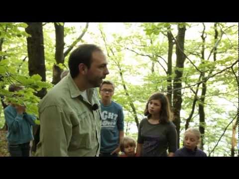 Naturpark Diemelsee - Imagefilm 2012