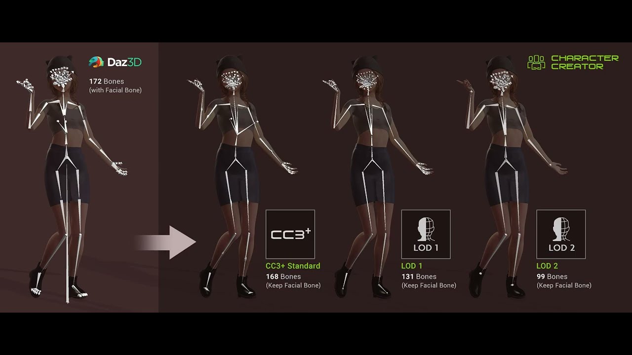 Advanced AccuRIG : Character Reduction | Character Creator 4