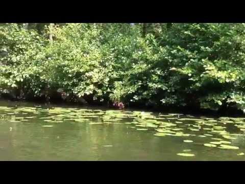 Frederiksdal Kano & Bådudlejning, 2014.07.27, 12:07:44