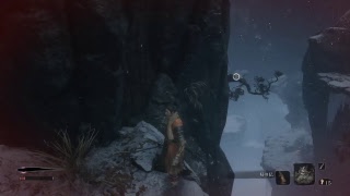隻狼　初見プレイ