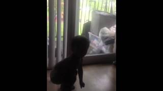 Baby Dancing to gotye