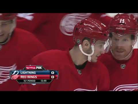 NHL  Dec.15/2013   Tampa Bay Lightning - Detroit Red Wings