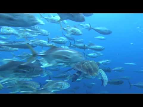 Voyage sous les Mers 3D - Bande Annonce VF