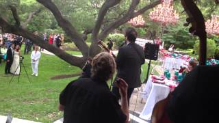 Bob Schneider with Strings Attached Wedding 2013