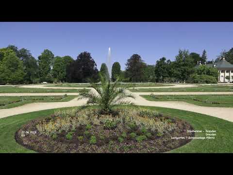 Lustgarten - Schlossanlage Pillnitz - Dresden - Städtereise