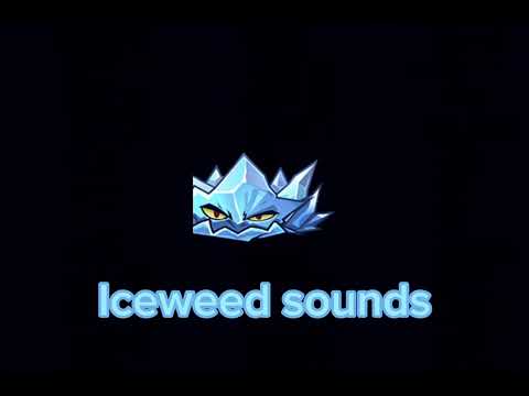 Iceweed's sounds
