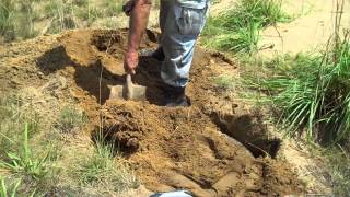 Adventurebug Burying wheels