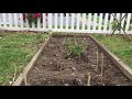 Preschool Community Garden