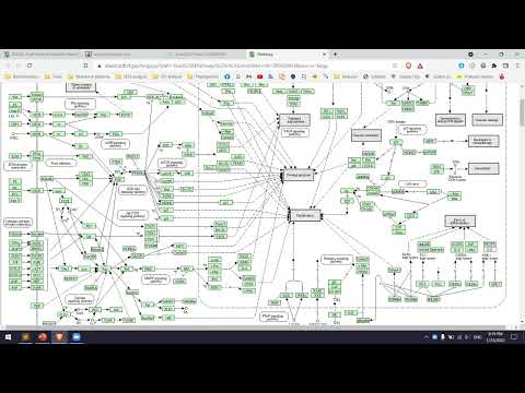 NGS 5: Gene ontology and pathway analysis