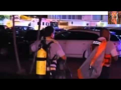 Miami lagoon rescue sport Basketball fans (deck collapse Bar Shuckers)