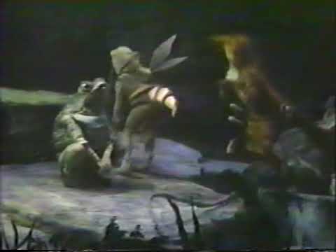 Cunning Little Vixen--NYC Opera, 1983 (Scott Bergeson conducts)