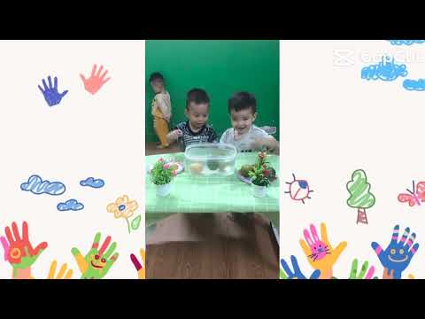 Khám phá quả cam chìm - nổi