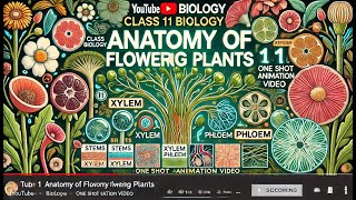 CBSE Class 11 || Biology || Anatomy of Flowering Plants || Animation || in English