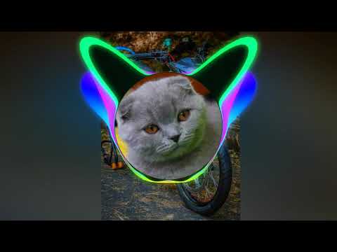 Dominant music. Dj Soda