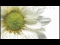 Kara Vita Products Intro