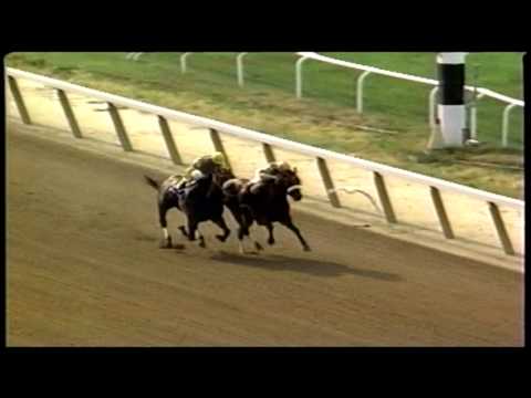 Sky Beauty - 1994 Hempstead (G1)