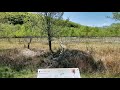 Tăul Fără Fund Mlaștina Misterioasă Cu Plante Carnivore Din Țara Hațegului