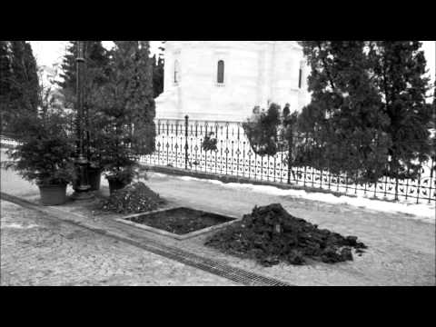 Cosmin Vaman - Salcamii japonezi