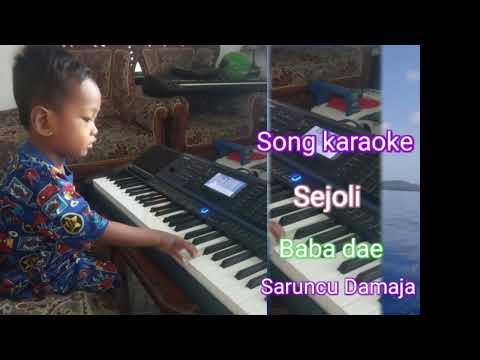 karaoke--Saruncu Damaja( bima Dompu( musik Rancak wakatobi( Dio Electone