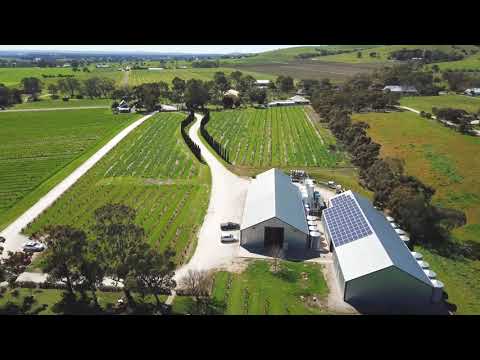 Charles Melton Wines