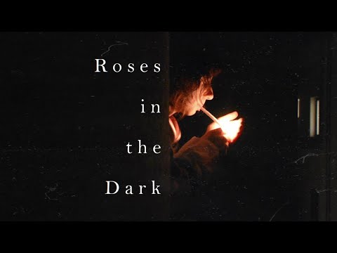 Roses in the Dark