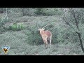 Baviaansriver Conservancy Free Range Hunting South Africa Crusader Safaris