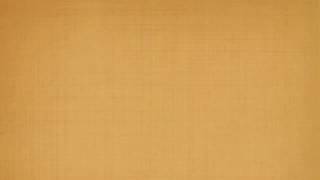 Cynthia Erivo Fly Before You Fall Instrumental, Lyrics, Karaoke