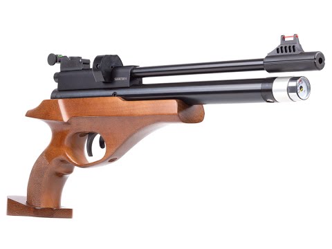 Beeman 2027 full review