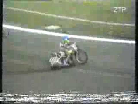 protasiewicz-correy-karger 1993