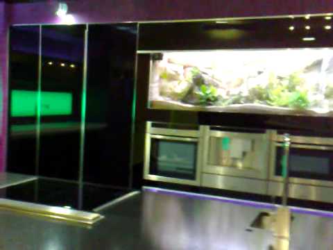 comment demarrer avec un aquarium