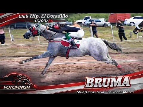 1°BRUMA  2°LA MATACA Club Hipico El Doradillo-Las Lajitas-Salta Domingo 05  Abril 2026