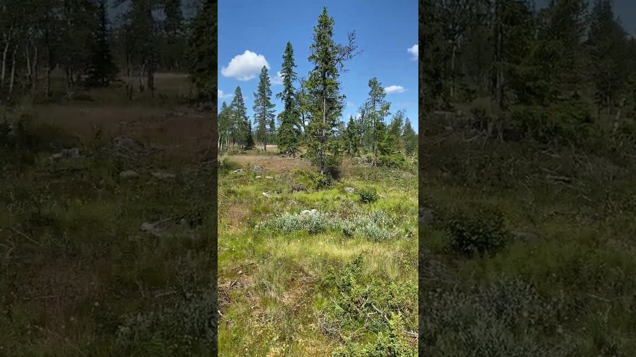 Tomt på Tjärnvägen 5 Övre Storsätern Grövelsjön Älvdalens kommun - video
