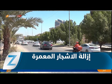 فيديو | النجف.. مواطنون وناشطون يحذرون من إزالة الاشجار المعمرة في شارع الحزام الاخضر