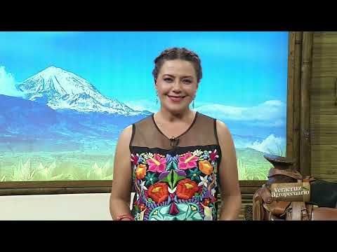 Veracruz Agropecuario - Ganadería Silvopastoril y Fiesta del Higo de Tatatila