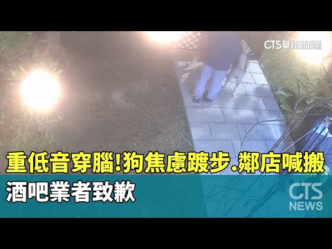 重低音穿腦！狗焦慮踱步.鄰店喊搬　酒吧業者致歉