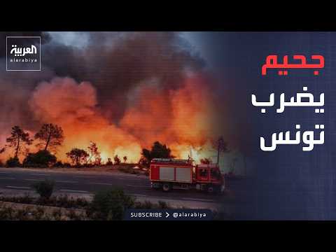 الخامسة | كارثة مناخية تضرب تونس.. حرائق واسعة وحرارة تقترب من 50 درجة