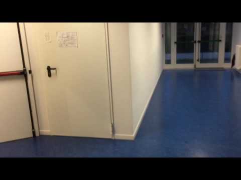 Mannequin Challange Aquilotti Bianchi AP