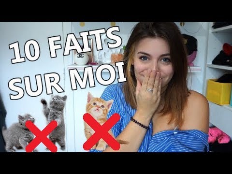 JE DETESTE LES CHATS ! 🐱