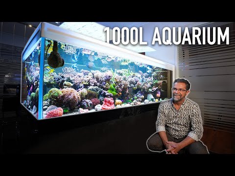 1000 Liter AQUARIUM *high end SPS* - ATI Aquaristik