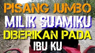 Download lagu aku melihat ibu dan suamiku ll cerita romantis bikin baper mp3