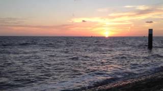 Bryan Ferry: Is Your Love Strong Enough?