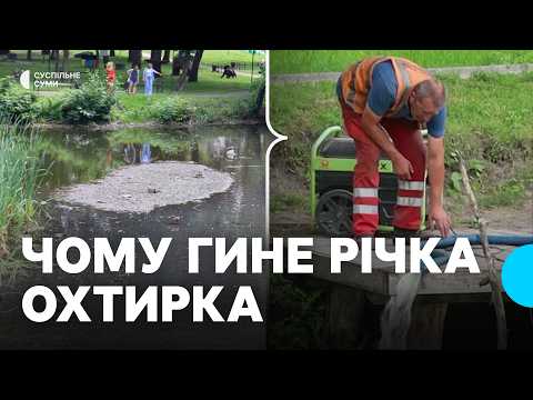 Смрад, изменение цвета, мертвая рыба: что происходит с рекой Ахтырка