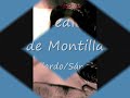 Remedios la de Montilla - Lola Flores
