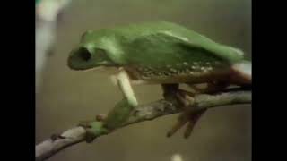 Sesame Street - A Long Hard Climb