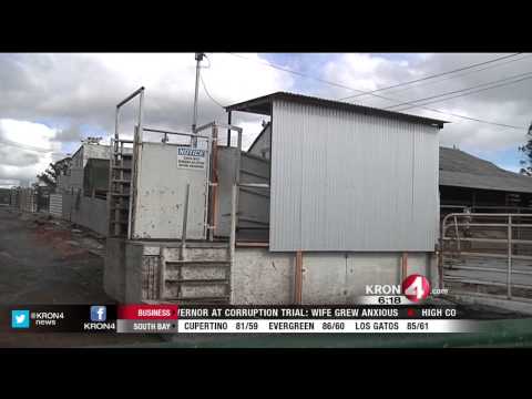 More Fallout From Massive Beef Recall at Petaluma...